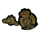 HGEDPT2502-1