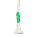 HGTSED2506-1