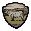 HGWVPT2506-4