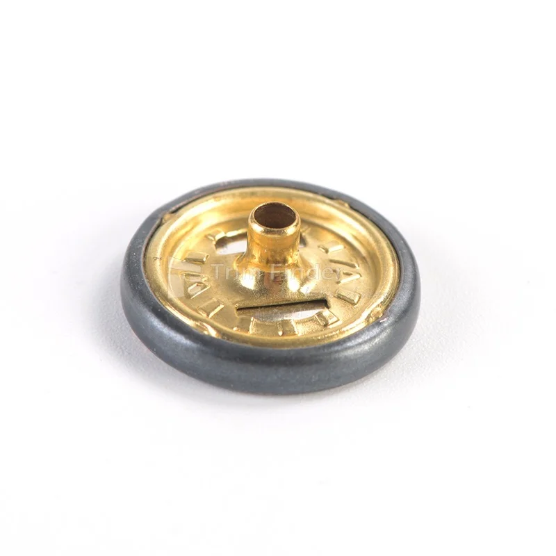 HGMSB0017-4